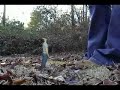 GIANTESS MINI