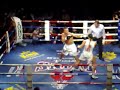 Germaine de Randamie vs Tom Waes   Part 1