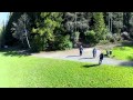XP2 Quadcopter - Maiden Flight - Redwood Park, Arcata, California