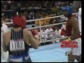 1988 SUMMER OLYMPICS 