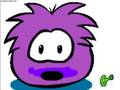 videos de purple puffle -camp fire song song w/lyrics