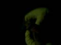 videos de Adversion - El negocio de la muerte