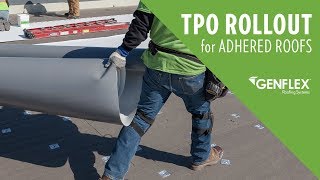 TPO Roll Out for Adhered Roofs