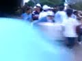 lobos en el santa lucia