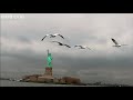 Snow Geese Fly By New York (Narrated By David Tennant) - Earthflight - BBC One