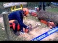 Stihl MS200T vs Husqvarna T540 xp