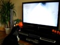 Kacper -Dog watching TV