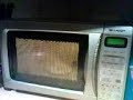 lightbulb in the microwave