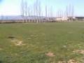 La Almunia