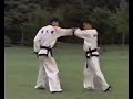 Hapkido IHF Hoshinsul