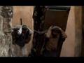 videos de MARDIN - MENDERES - HAAL MODA