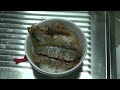 小学生レベルで大満足秋刀魚の蒲焼 | Sanma Kabayaki Braised Pacific Saury fillets