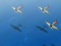 Strike Witches02 1/3 Strike Witches02 1/3