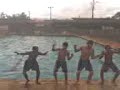 dança do siri do naffah