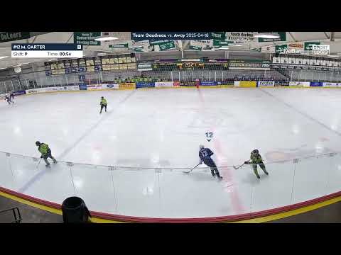 2025 USHL Combine - Team Gaudreau v Pavelski - Marcus Carter #12 - All Shifts