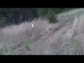 Crossbar Ranch, Davis, OK, 4_20_08 part 1