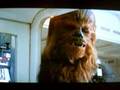 Our Little Wookie