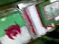 ابكـــي يا المصري Algerie 1-0 Egypte célébration a Budapest