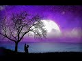 cheb mami / zucchero - cosi celeste الشاب مامي لي نبغيه مايبغيني