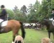 Carrousel Manege Cadier en Keer Noorbeek