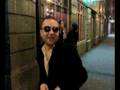 videos de cigarra footage.mp4