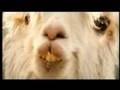 Oxfam Mastercard You're Gorgeous Christmas ad