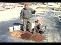 Blueberries Planted In A Container