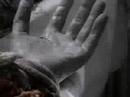Flora - Jan Svankmajer vejetales muertos el agua