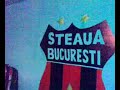 nebun dupa steaua