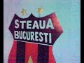 nebun dupa steaua