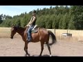 Rai reiten