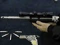 desert eagle and friends