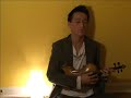 One Republic - Apologize - Violin Cover One Republic - Apologize - Violin Cover