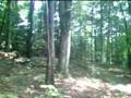 Iron Mountain Trail