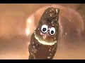 HISTORIAS DE MIERDA 2