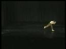 dança contemporânea/contemporary dance - Stela Menezes2 dança contemporânea/contemporary dance - Stela Menezes2