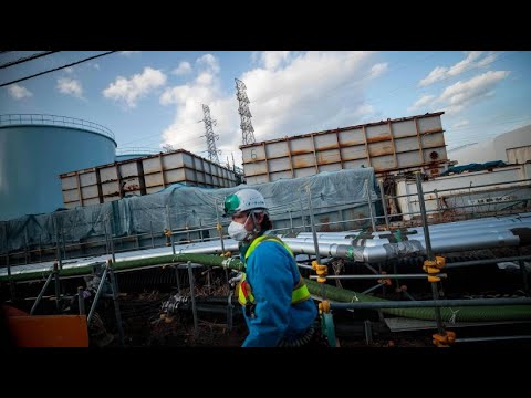 Tourismus: Schulausflug nach Fukushima