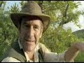 walking with dinosaurs sp 3 the giant claw  3 of 3 