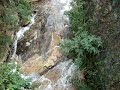 Sons da Natureza - Sounds of Nature