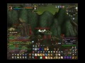 Prot-Paladin Farming (30 Bloodelfs)
