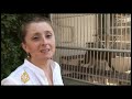 A research centre in Abkhazia which used to send monkeys into space has become a symbol of the region's efforts to break away from Georgia. The former Soviet institute had fallen into disrepair but since Russia controversially recognised Abkhazia as independent, it has been trying to recapture some of its former glory. Matthew Collin reports from Sukhumi.