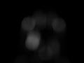 proDAD VitaScene - \"Effect bokeh\"