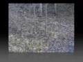 ohio hunt 2009