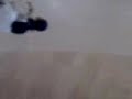chetos chetos