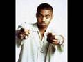 Nas - Sly Fox [Brand New]