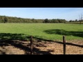 iPhone 5 Testvideo A