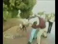 Skater Fights Skater Fights