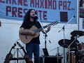 Pa�uelos arbolito