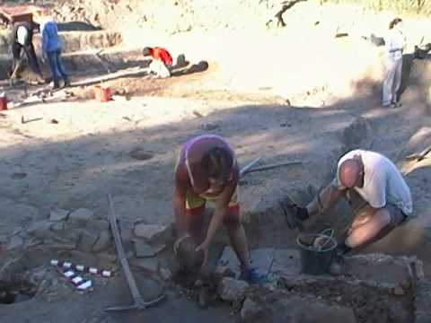 guarda il video