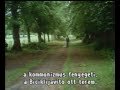 International communism
